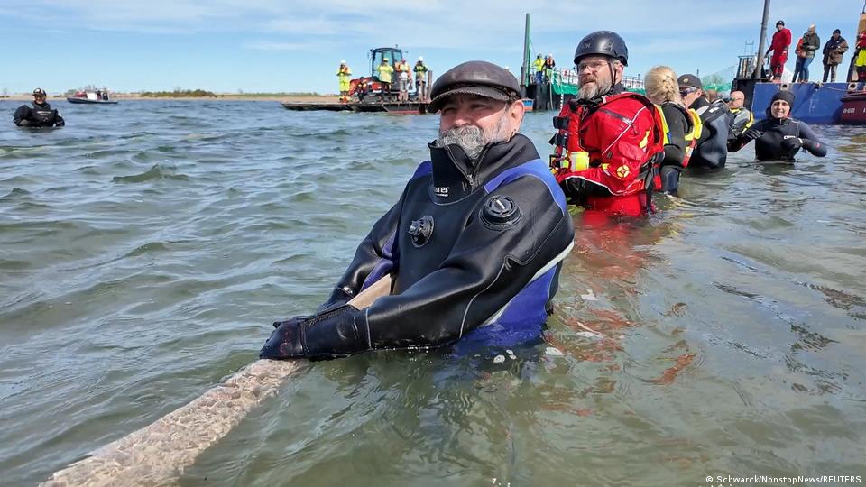 Menschen in Neoprenanzügen stehen hüfthoch im Wasser und ziehen an einem breiten Riemen.