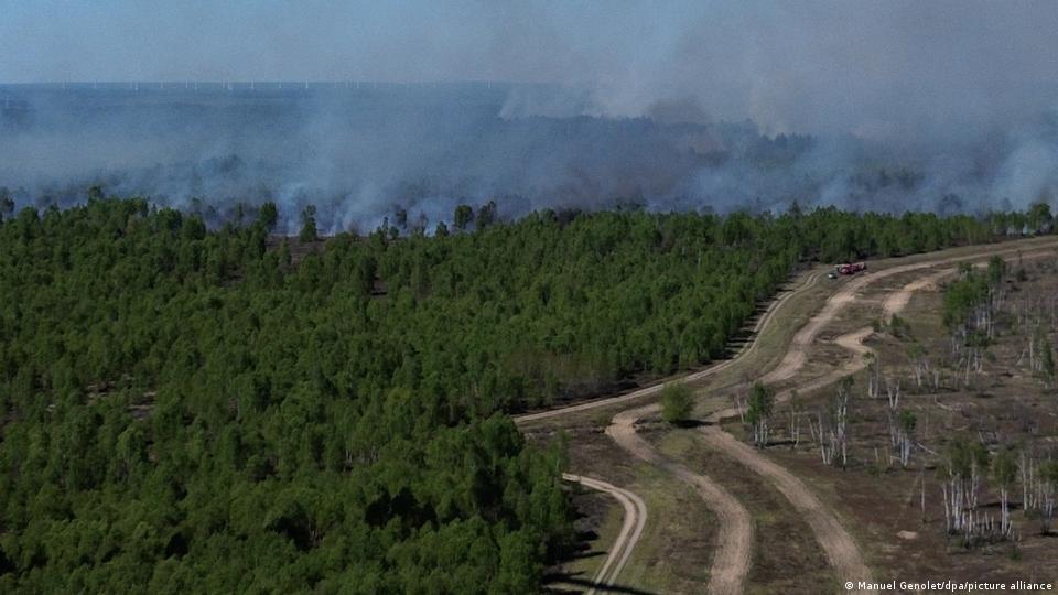 Rauch steigt aus einem Waldgebiet auf, rechts Feldwege, Luftaufnahme