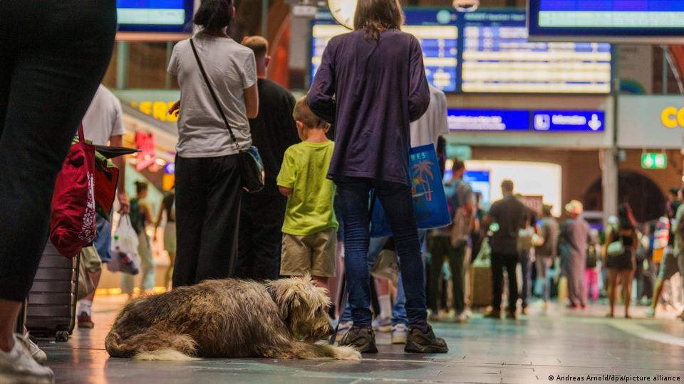  Menschenschlange am Frankfurter Hauptbahnhof, Hund liegt am Boden