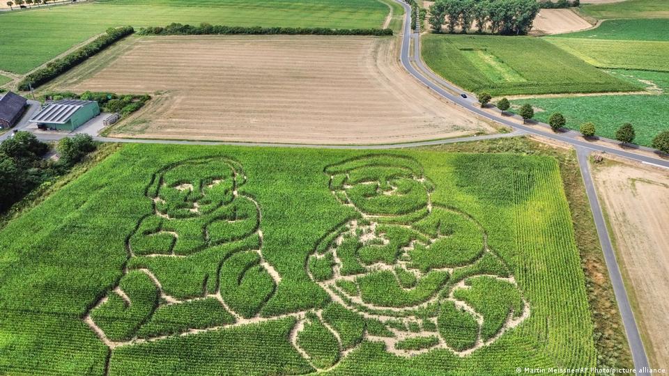 Ein Bauer schnitt aus einem Maisfeld ein Labyrinth in Form von Russlands Präsident Wladimir Putin (links) und US-Präsident Donald Trump, dargestellt als kleine Kinder, die mit einem Globus spielen (Dienstag, 4. August 2026)