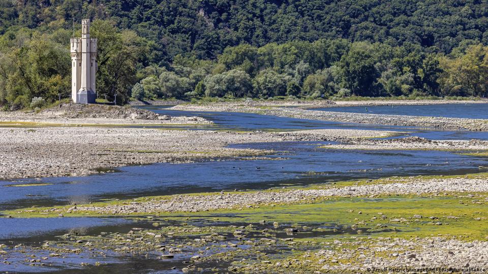 Niedrigwasser, im Hintergrund der Mäuseturm in Bingen vor einem Wald