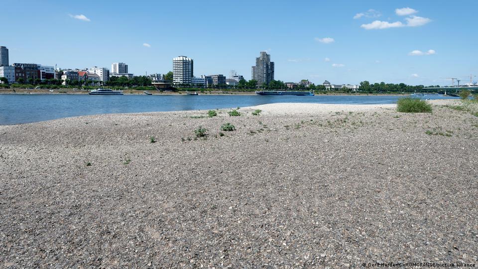 Teil des ausgetrockneten Rheinbettes in Köln