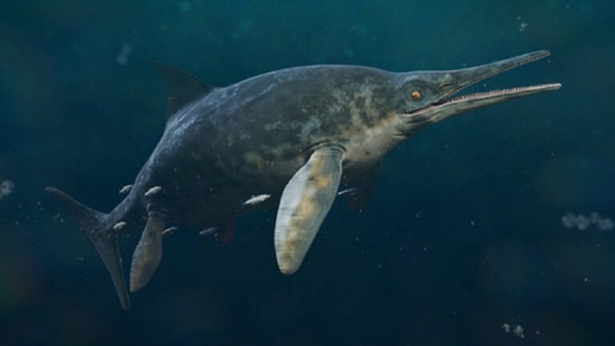 Riesiges Meeresreptil