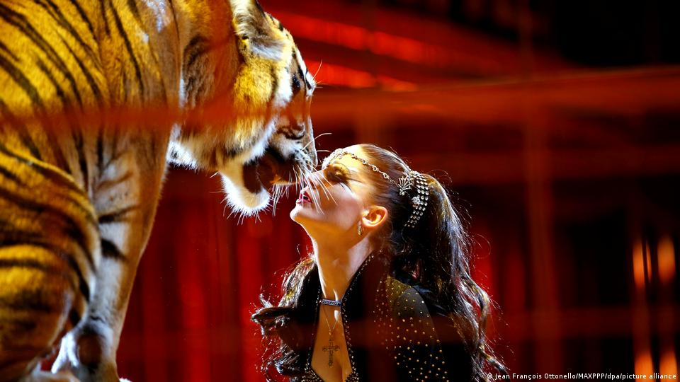 Monaco 2018 | 42. Internationales Zirkusfestival von Monte-Carlo | Carmen Zander mit Raubkatzen
