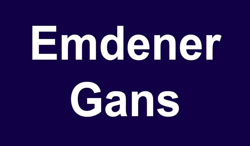Emdener Gans