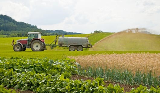 Niedersachsens Landwirtschaft düngt zu stark